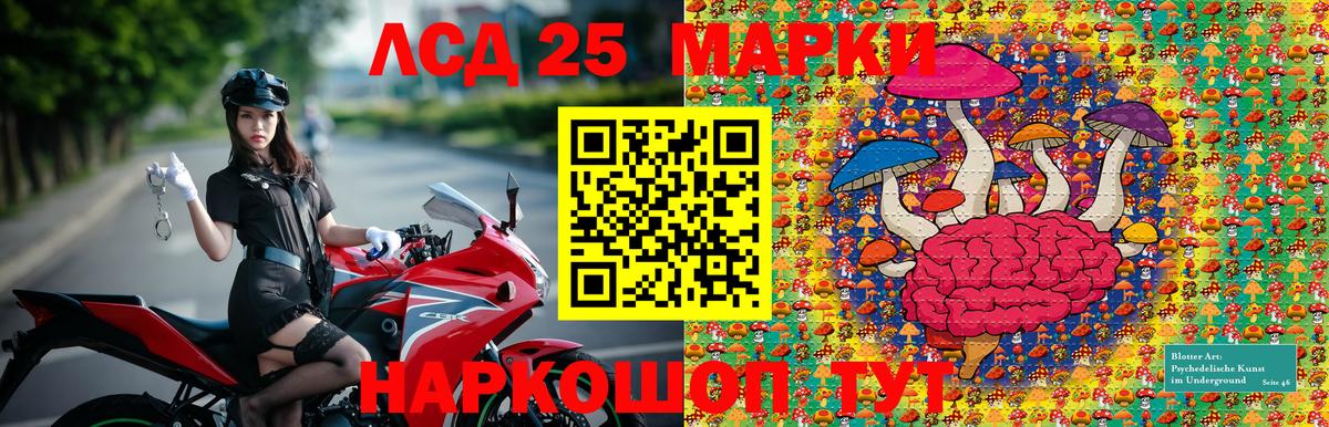 Марки N-bome  Вход с VPN  Марки 25I-NBOMe 1500мкг  Ижевск  Марки 25I-NBOMe 1500мкг 