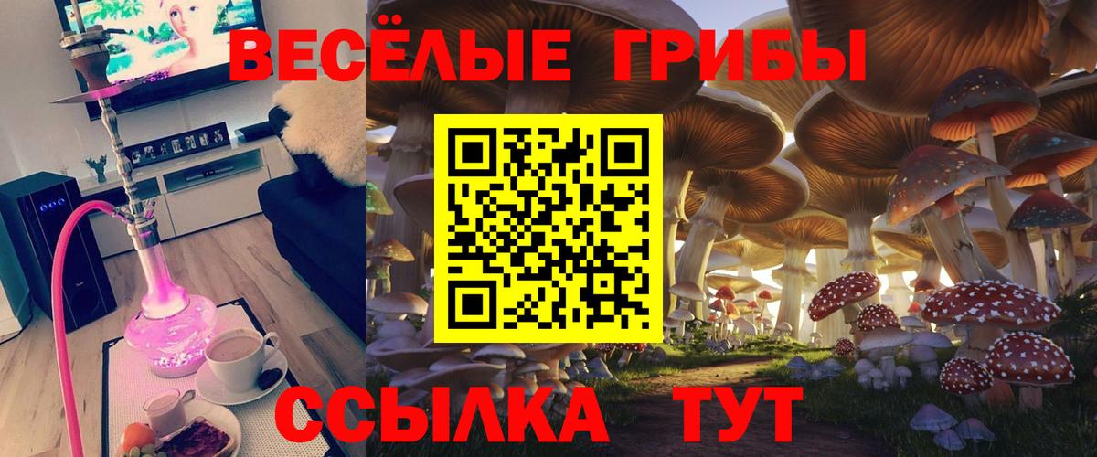 Галлюциногенные грибы Magic Shrooms Ижевск